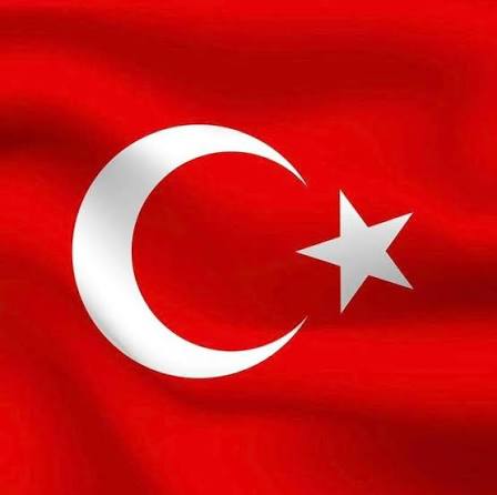 Dosya:Türk Bayrağı.jpg
